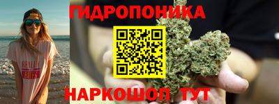 прущие грибы Бузулук