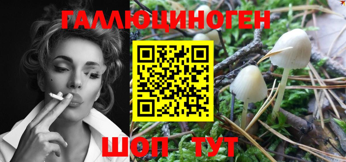 что такое наркотик  Вход с VPN  Сыктывкар  Псилоцибиновые грибы Psilocybine cubensis 