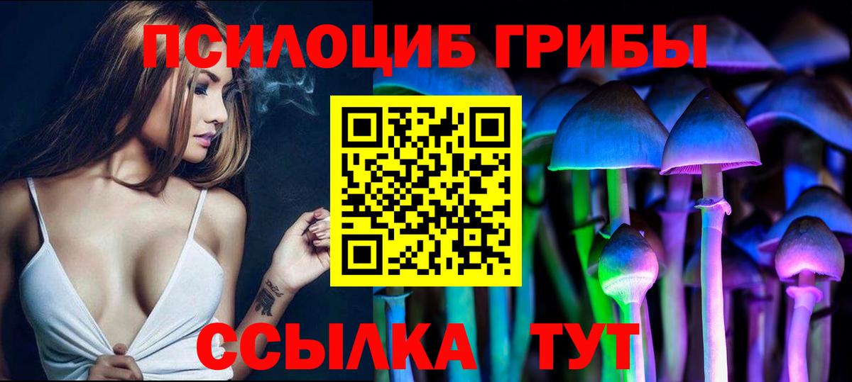 Псилоцибиновые грибы GOLDEN TEACHER Сыктывкар